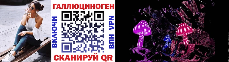 kraken Новоаннинский Псилоцибиновые грибы Cubensis